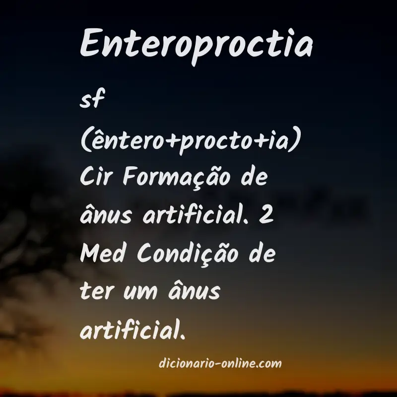Significado de enteroproctia