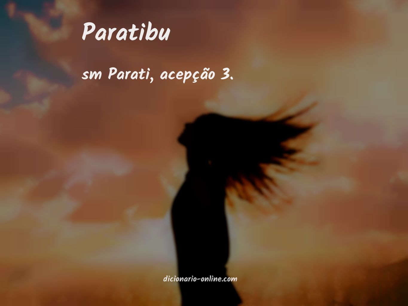 Significado de paratibu