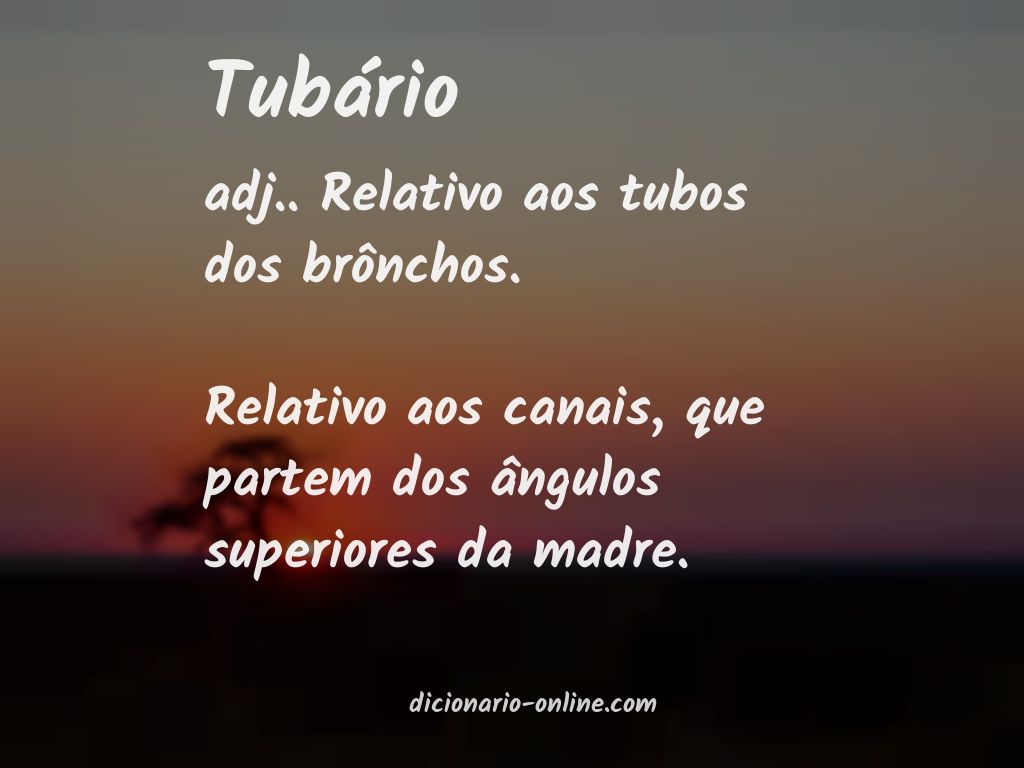 Significado de tubário