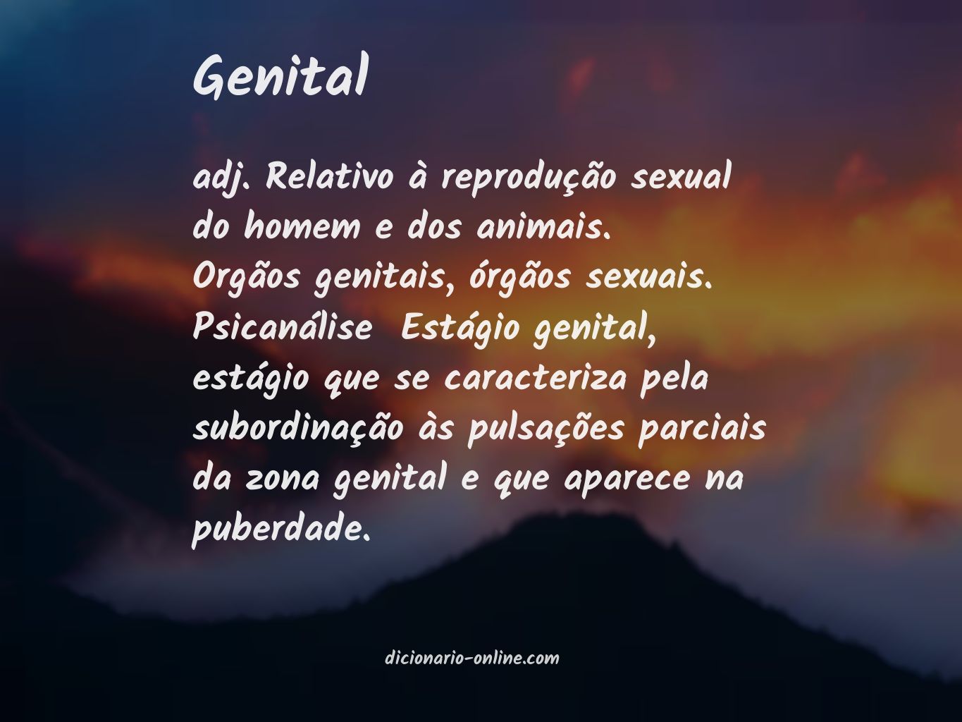 Significado de genital