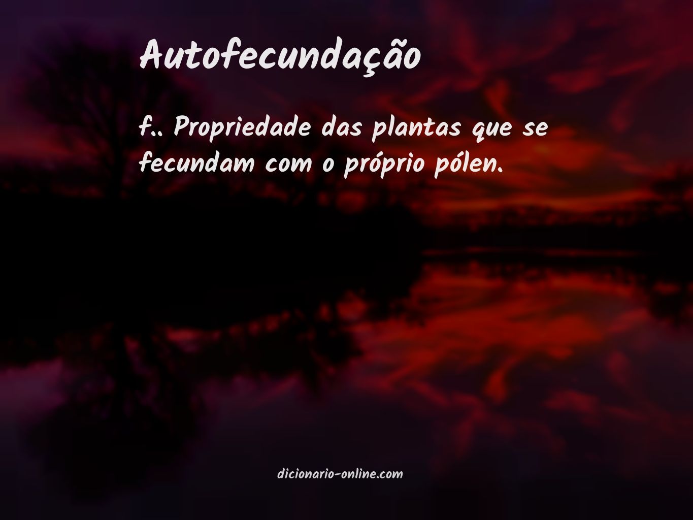 Significado de autofecundação