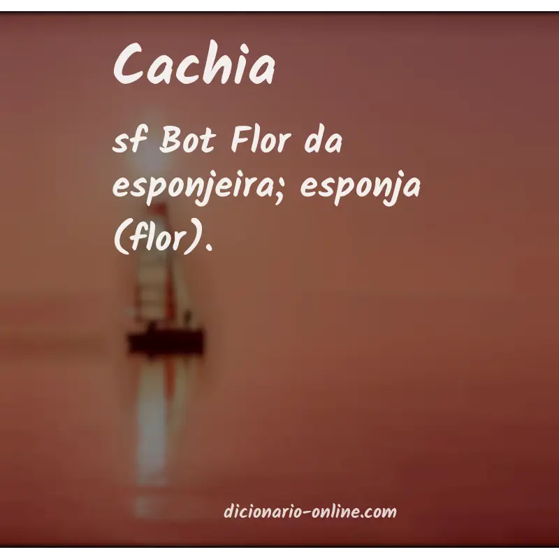 Significado de cachia