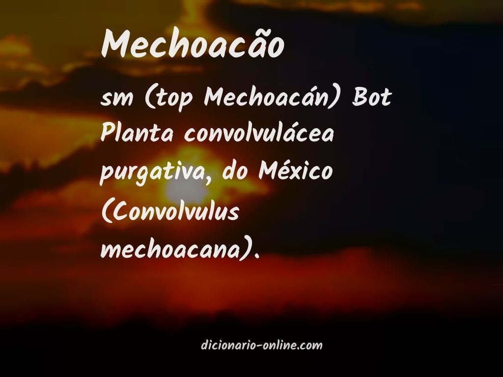 Significado de mechoacão