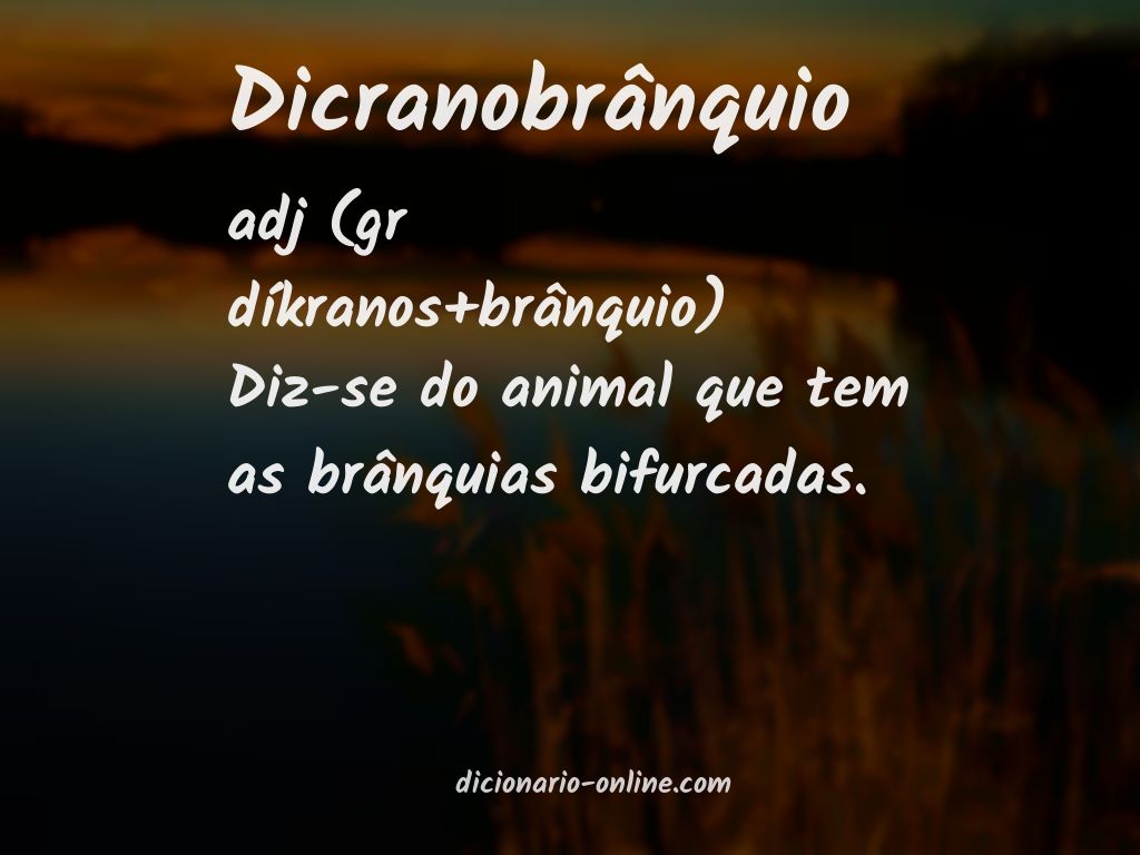 Significado de dicranobrânquio