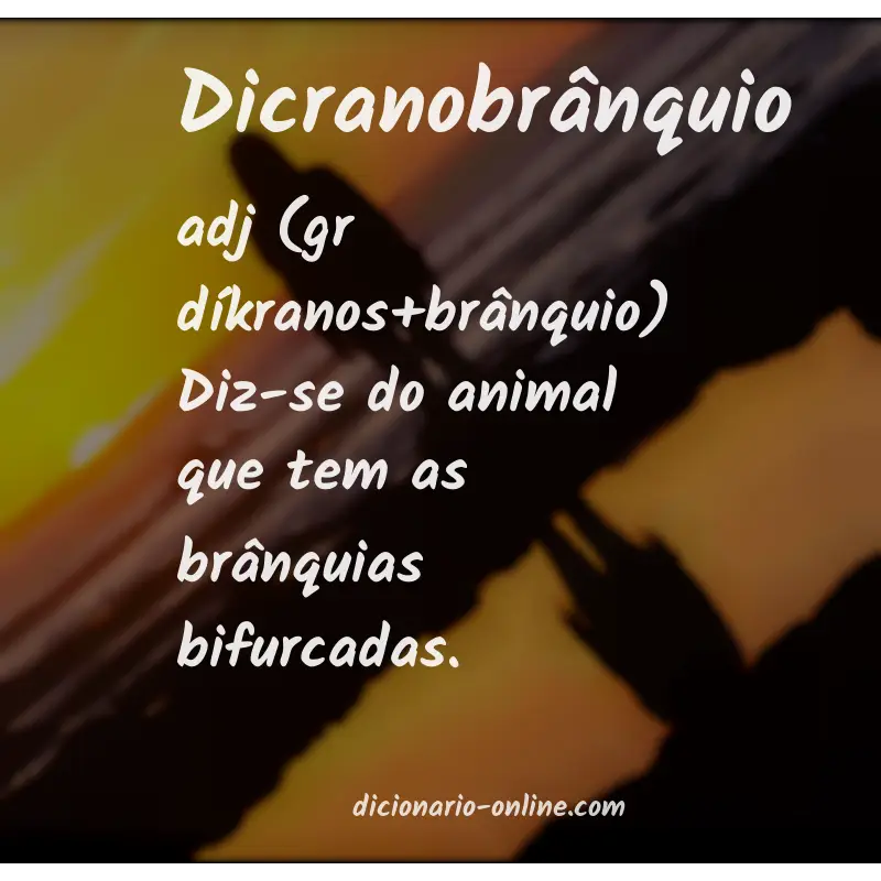 Significado de dicranobrânquio