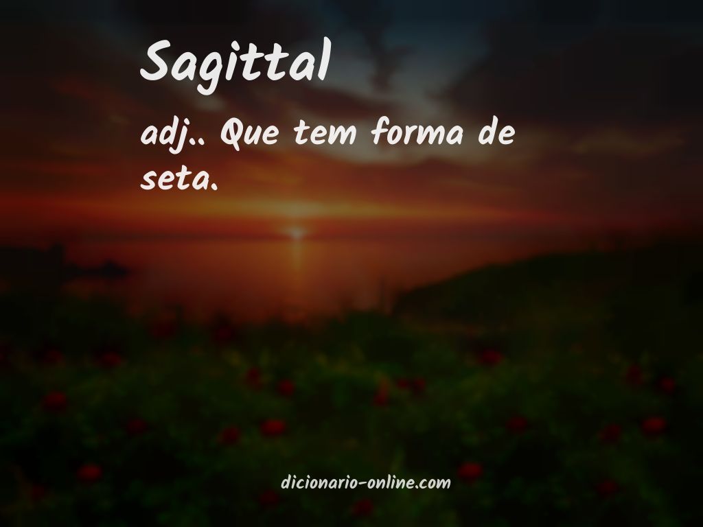 Significado de sagittal