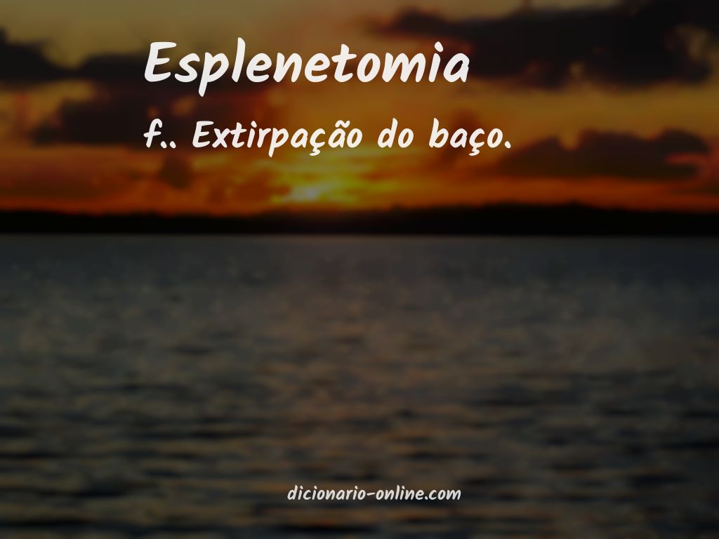 Significado de esplenetomia