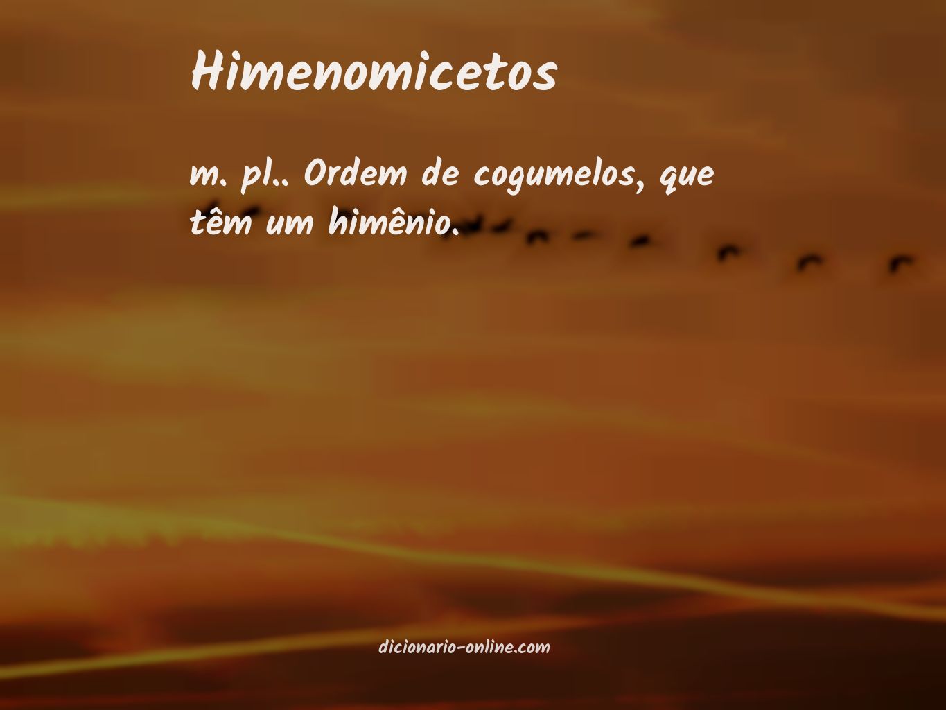 Significado de himenomicetos