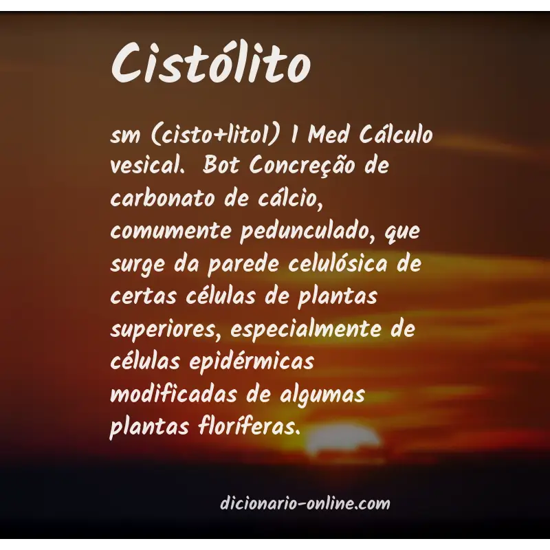 Significado de cistólito