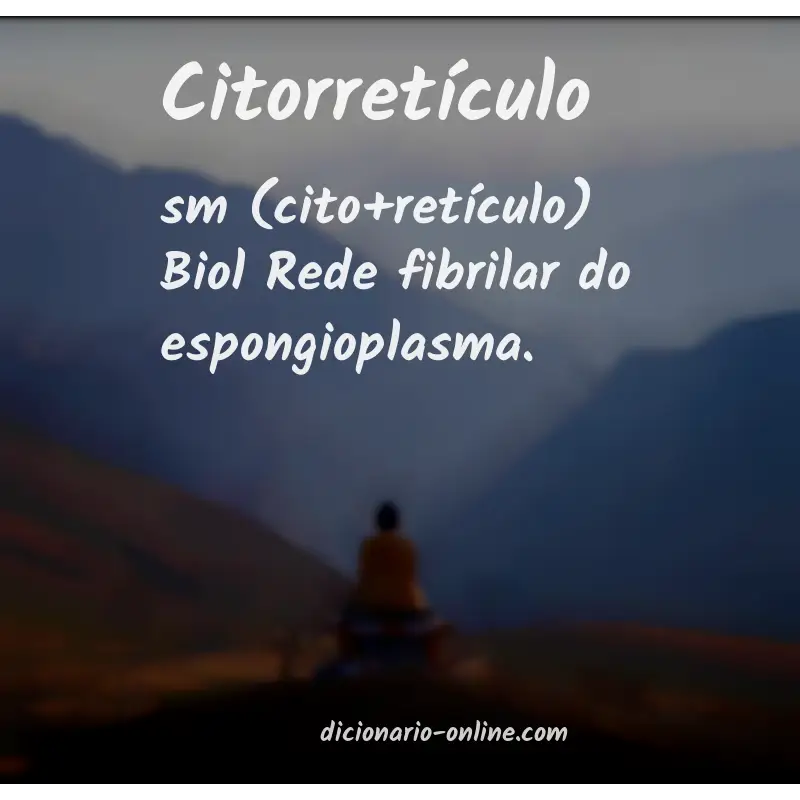 Significado de citorretículo