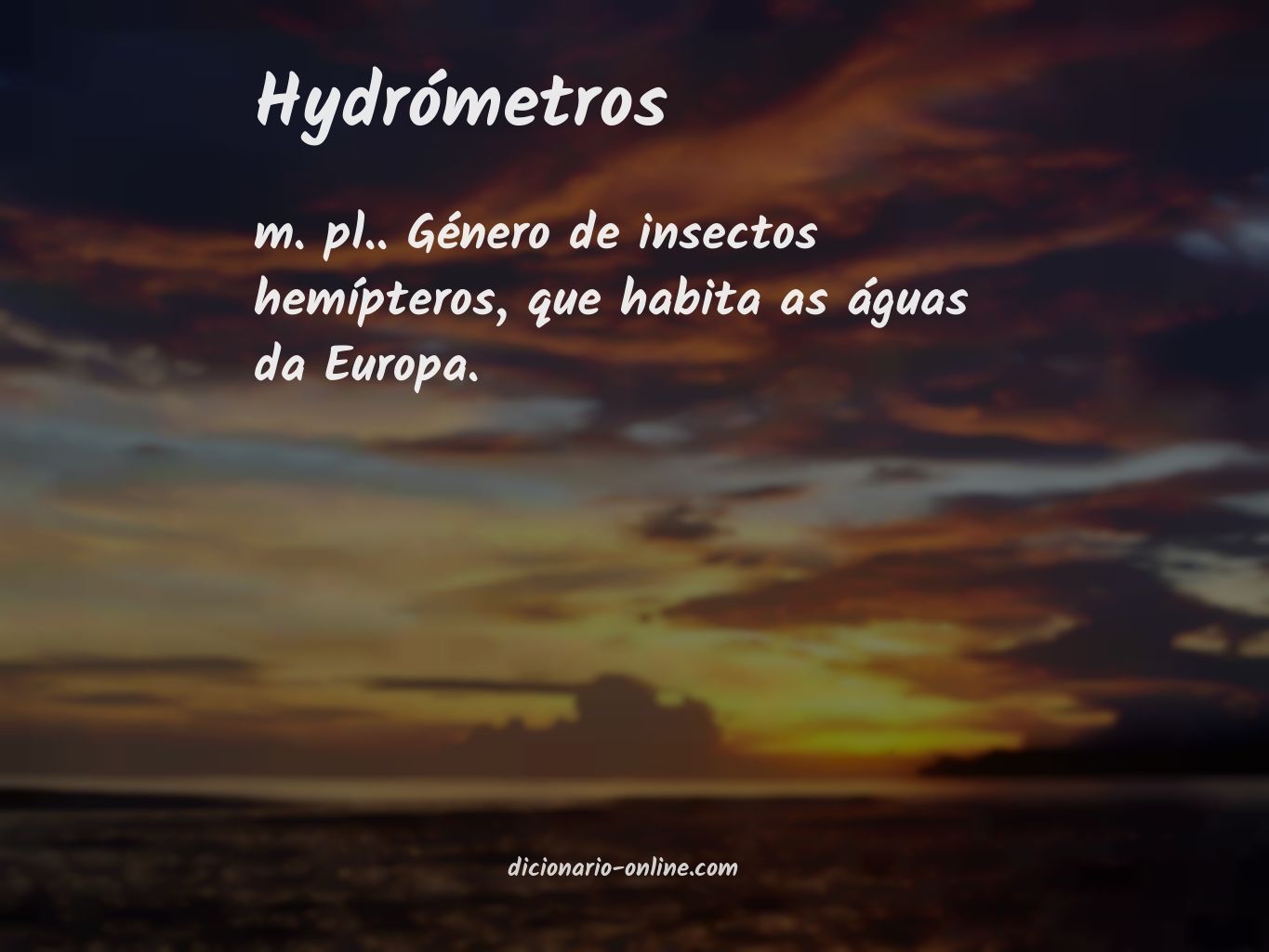 Significado de hydrómetros