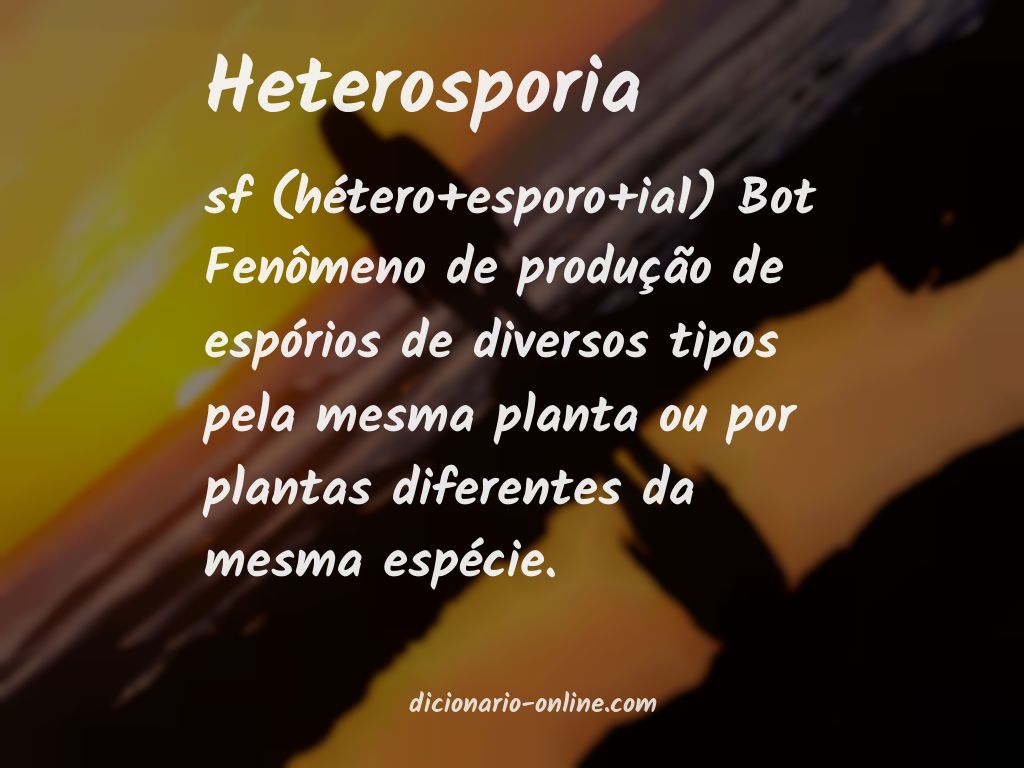 Significado de heterosporia