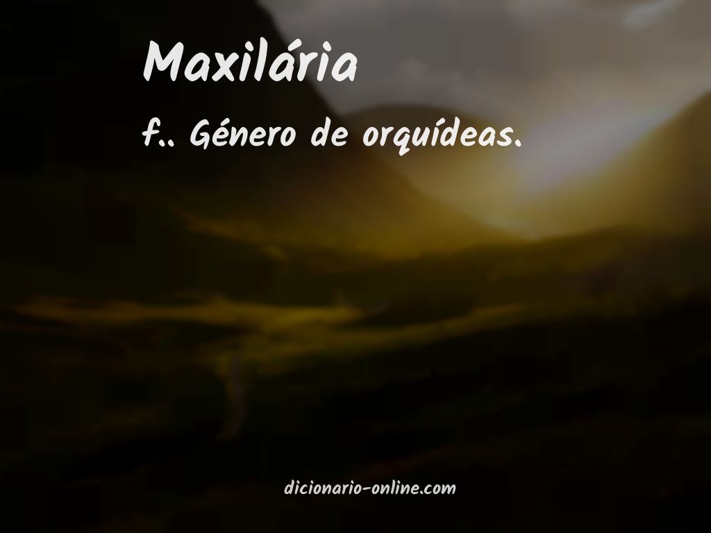 Significado de maxilária