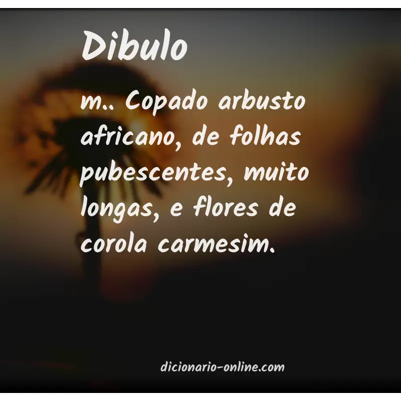 Significado de dibulo
