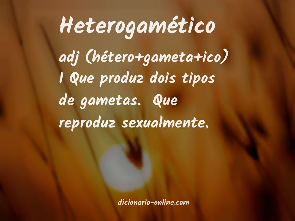 Significado de heterogamético