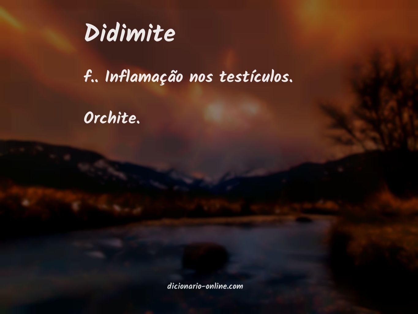 Significado de didimite