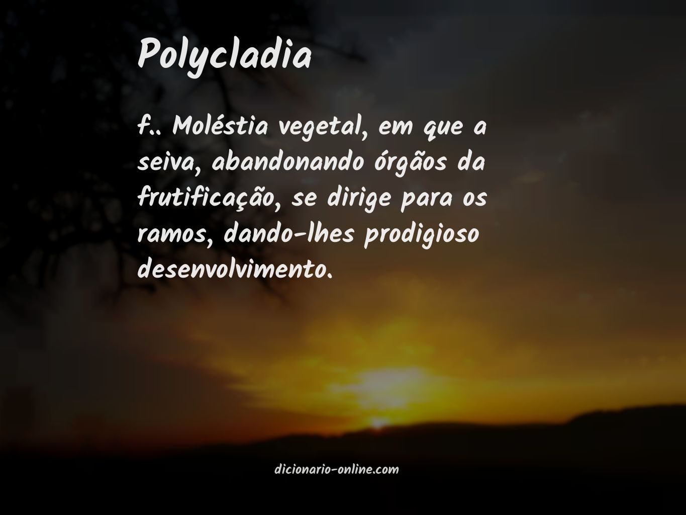 Significado de polycladia