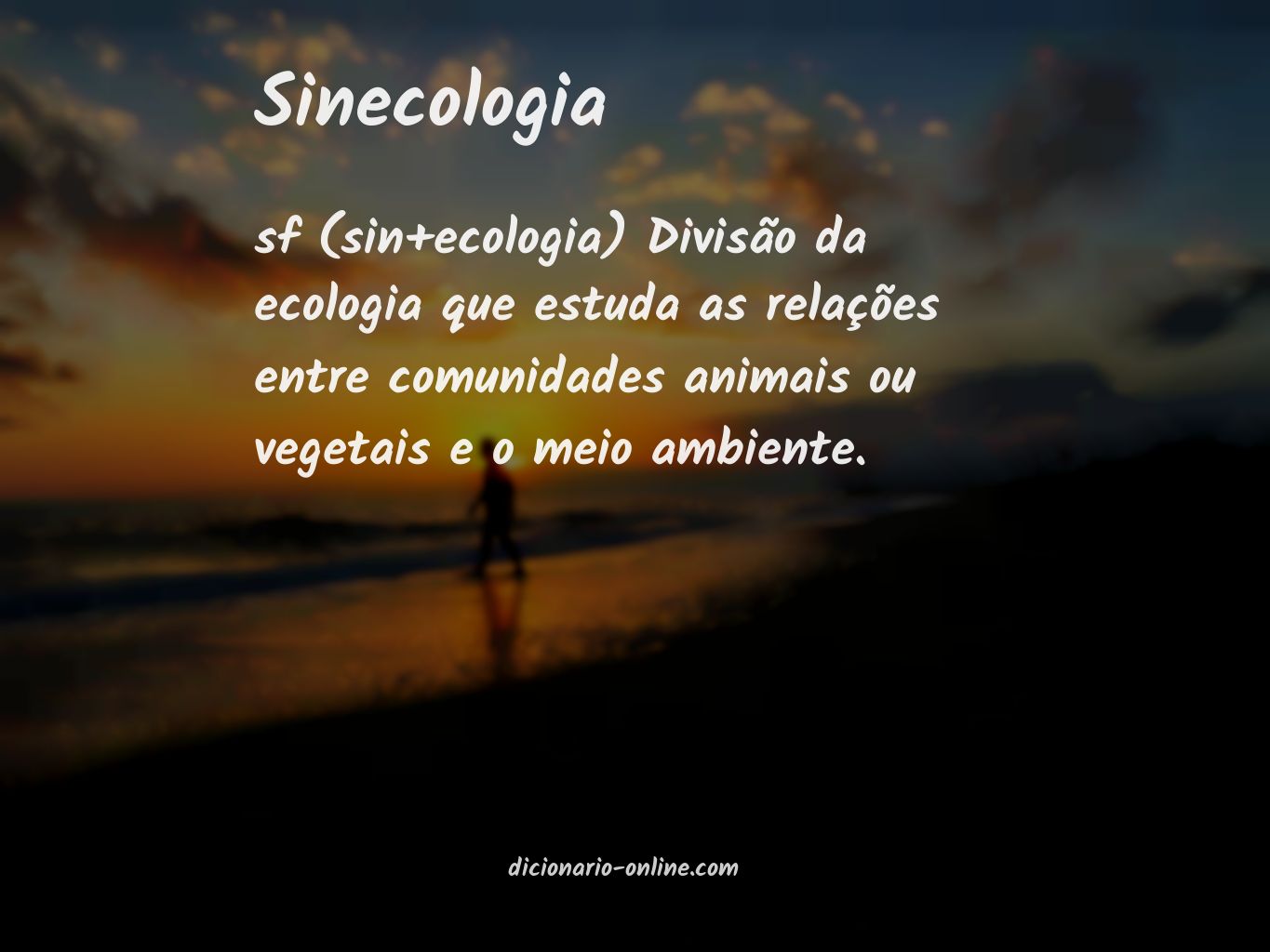 Significado de sinecologia