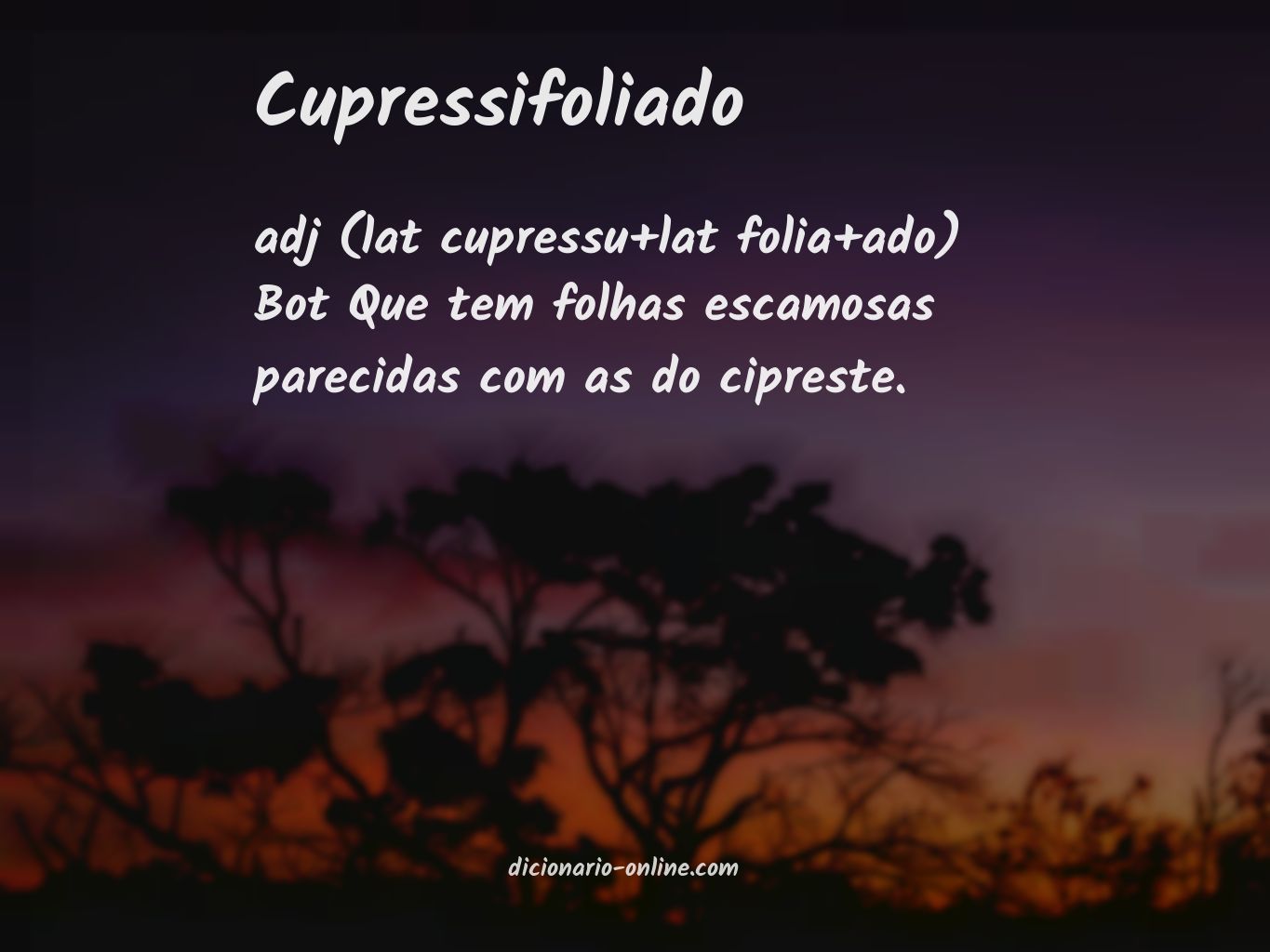 Significado de cupressifoliado