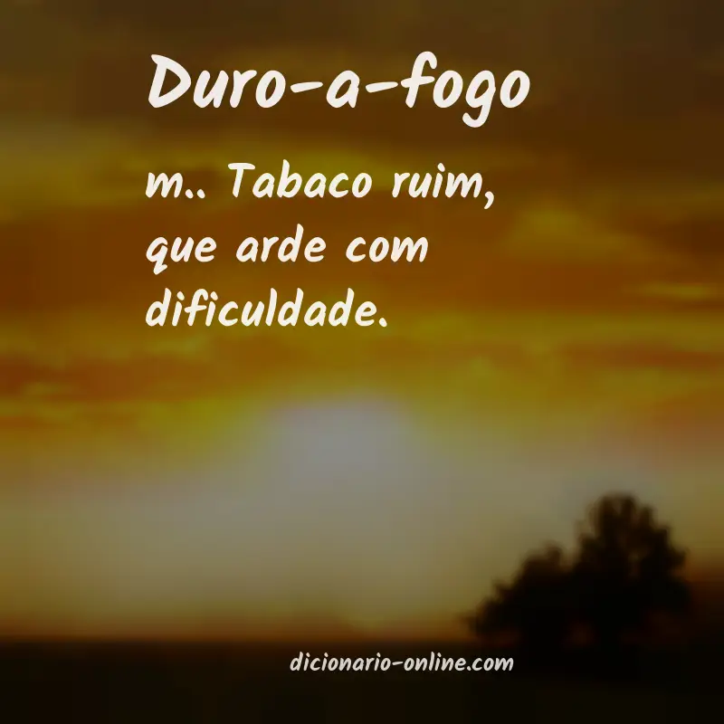Significado de duro-a-fogo