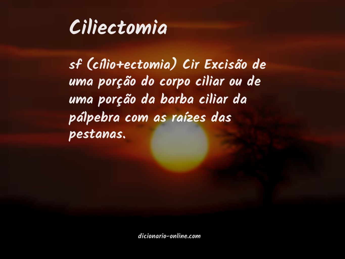 Significado de ciliectomia