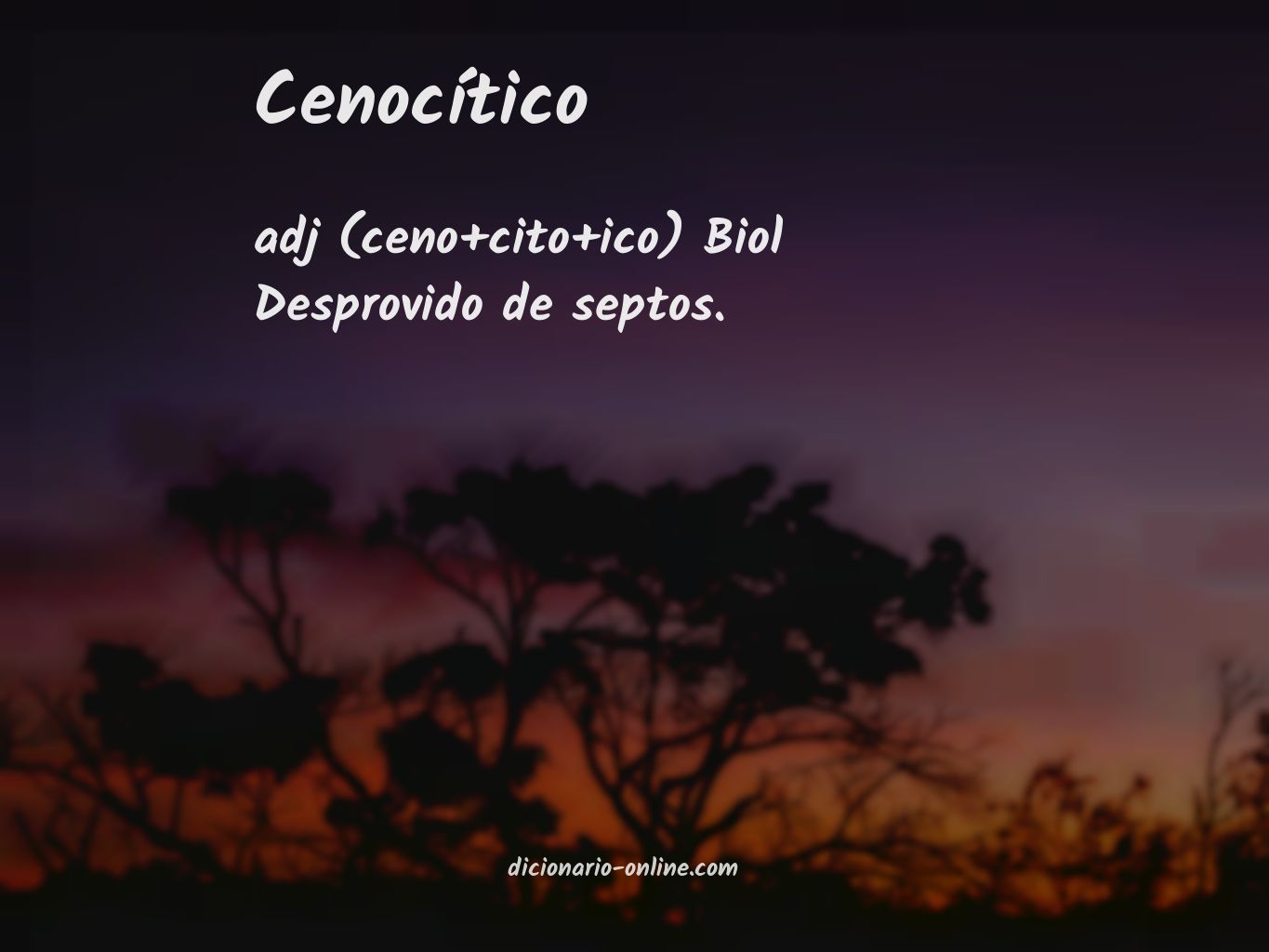 Significado de cenocítico