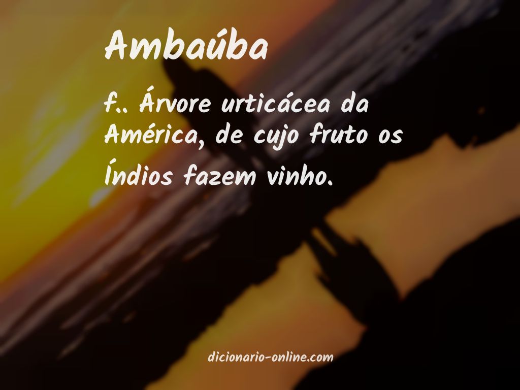 Significado de ambaúba