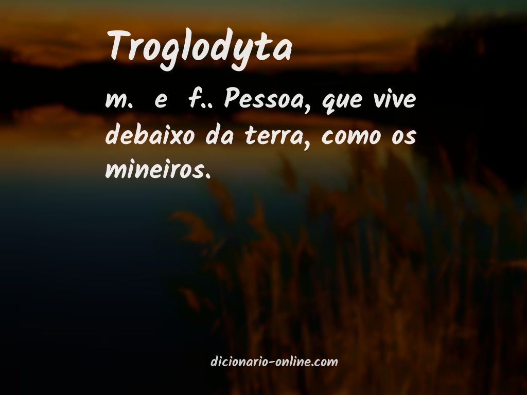 Significado de troglodyta