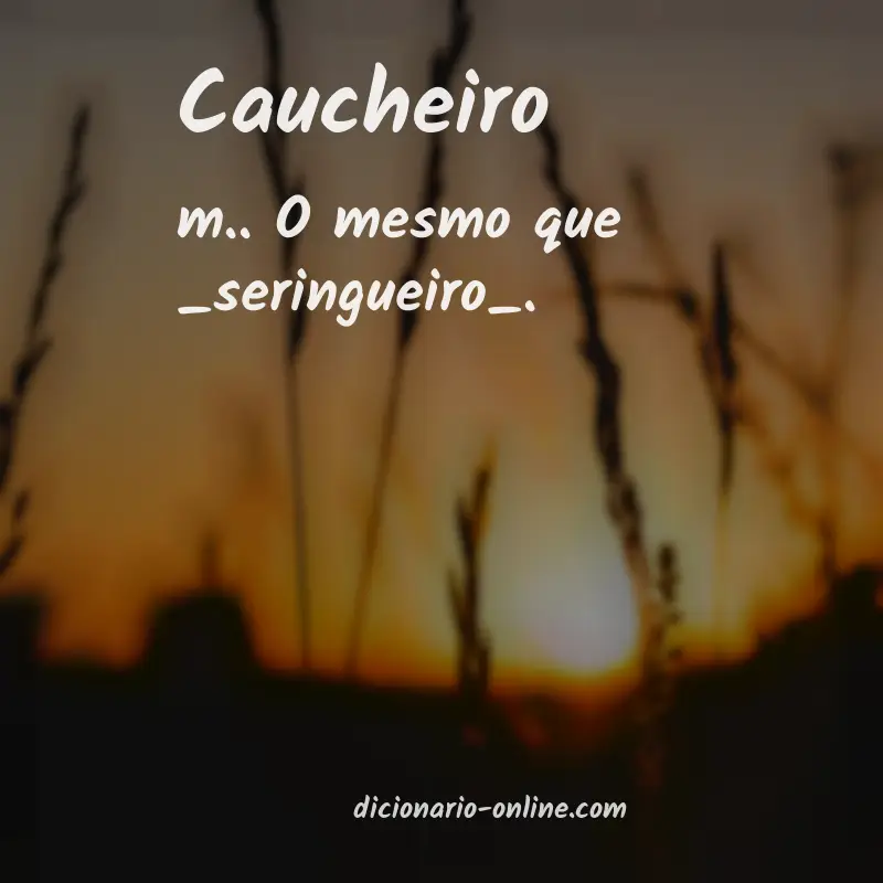 Significado de caucheiro
