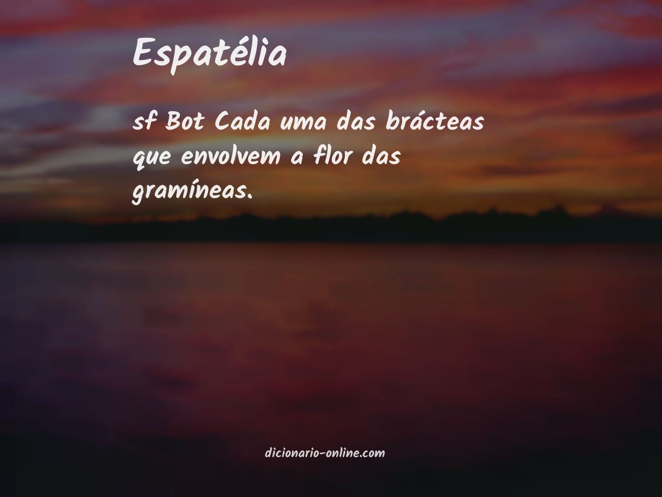 Significado de espatélia