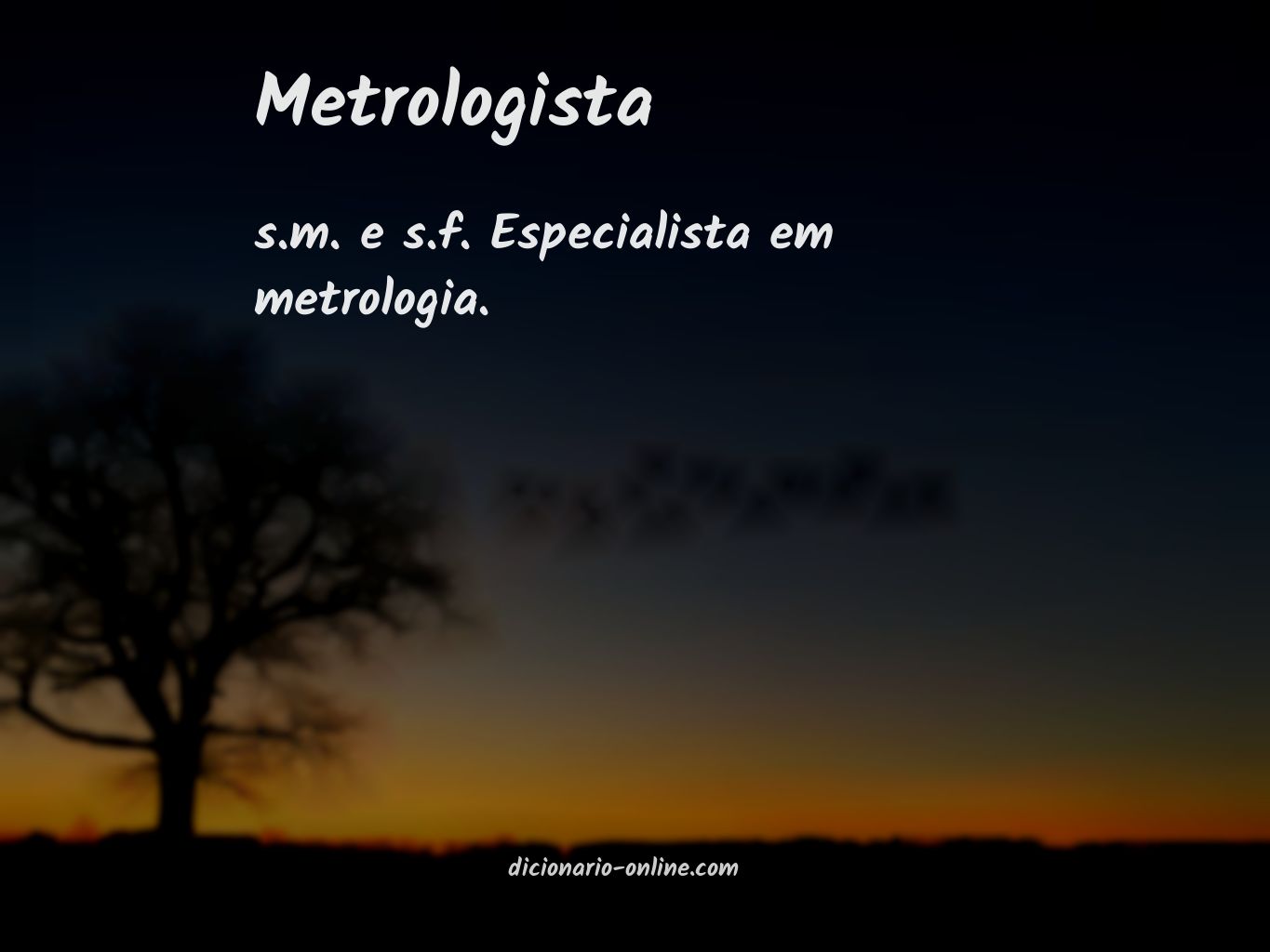 Significado de metrologista