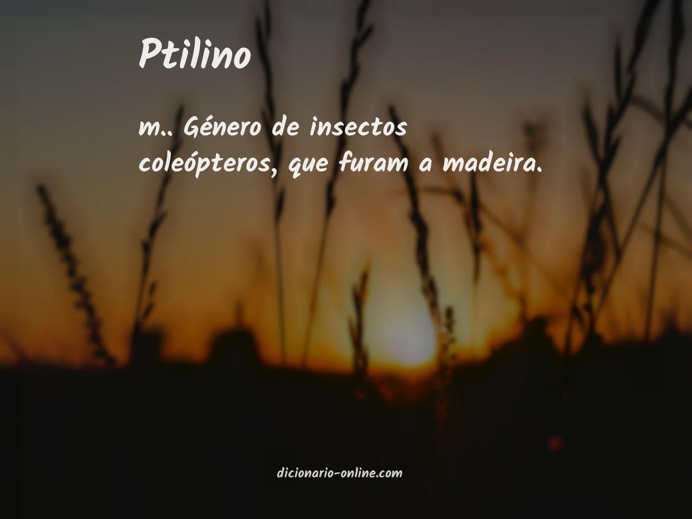 Significado de ptilino