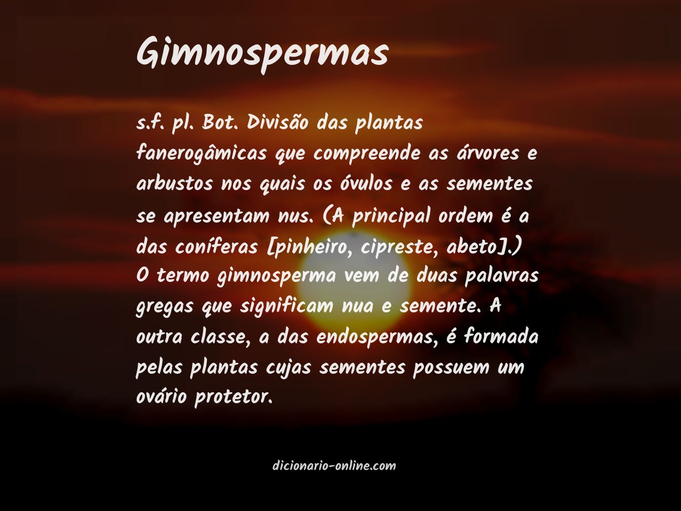 Significado de gimnospermas