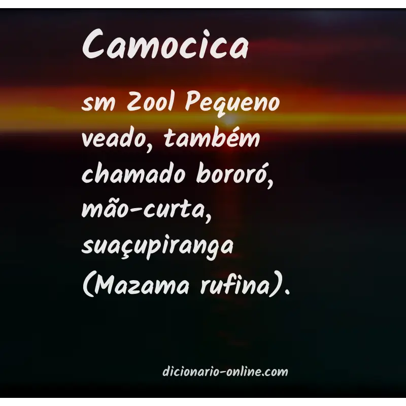 Significado de camocica