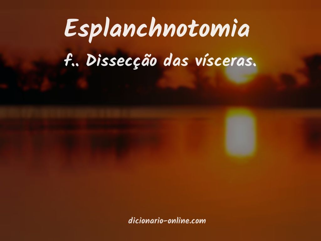 Significado de esplanchnotomia