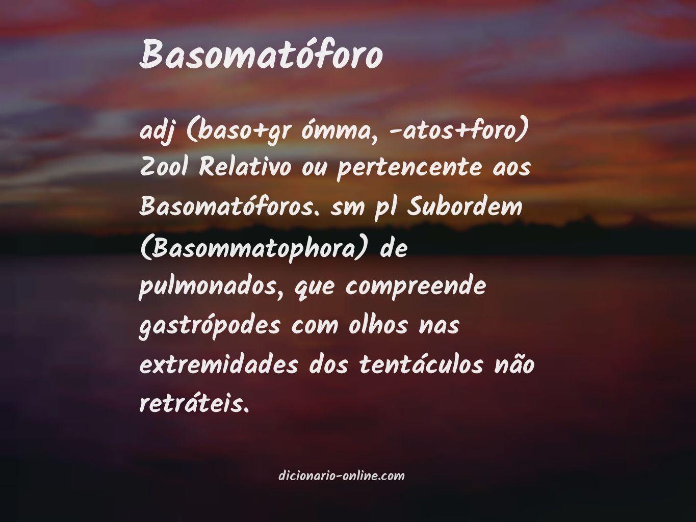 Significado de basomatóforo