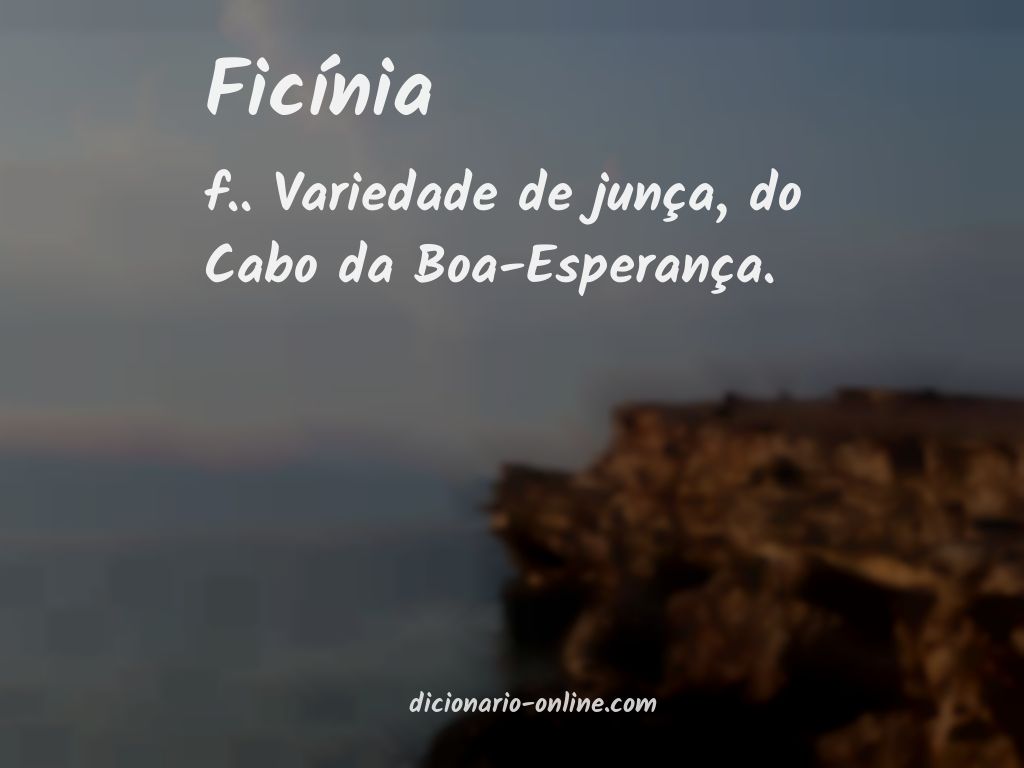 Significado de ficínia