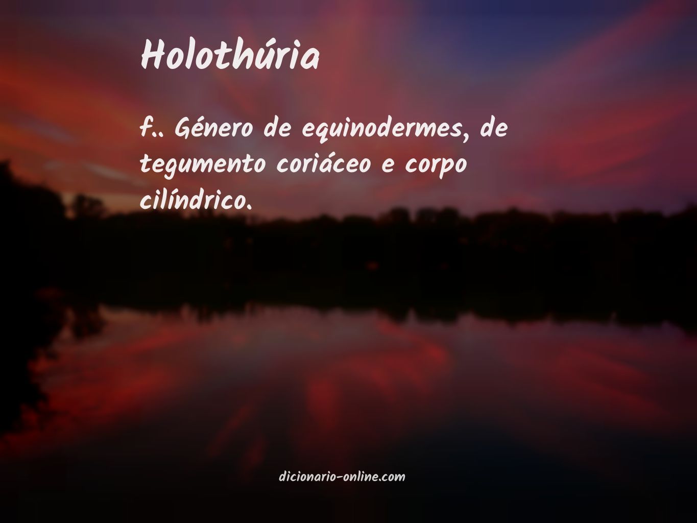 Significado de holothúria