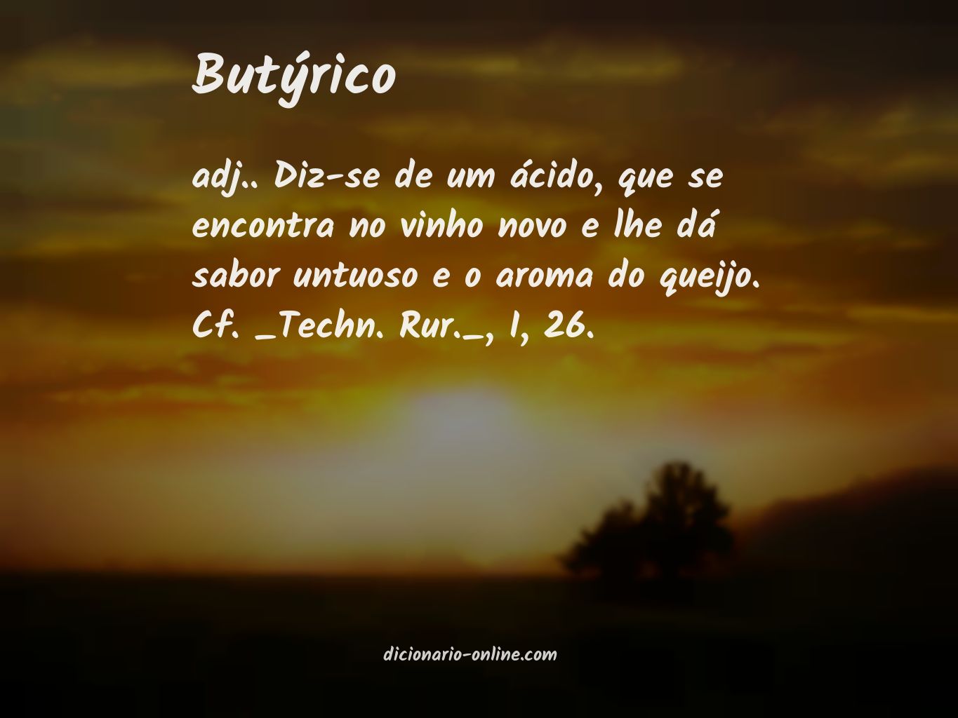 Significado de butýrico