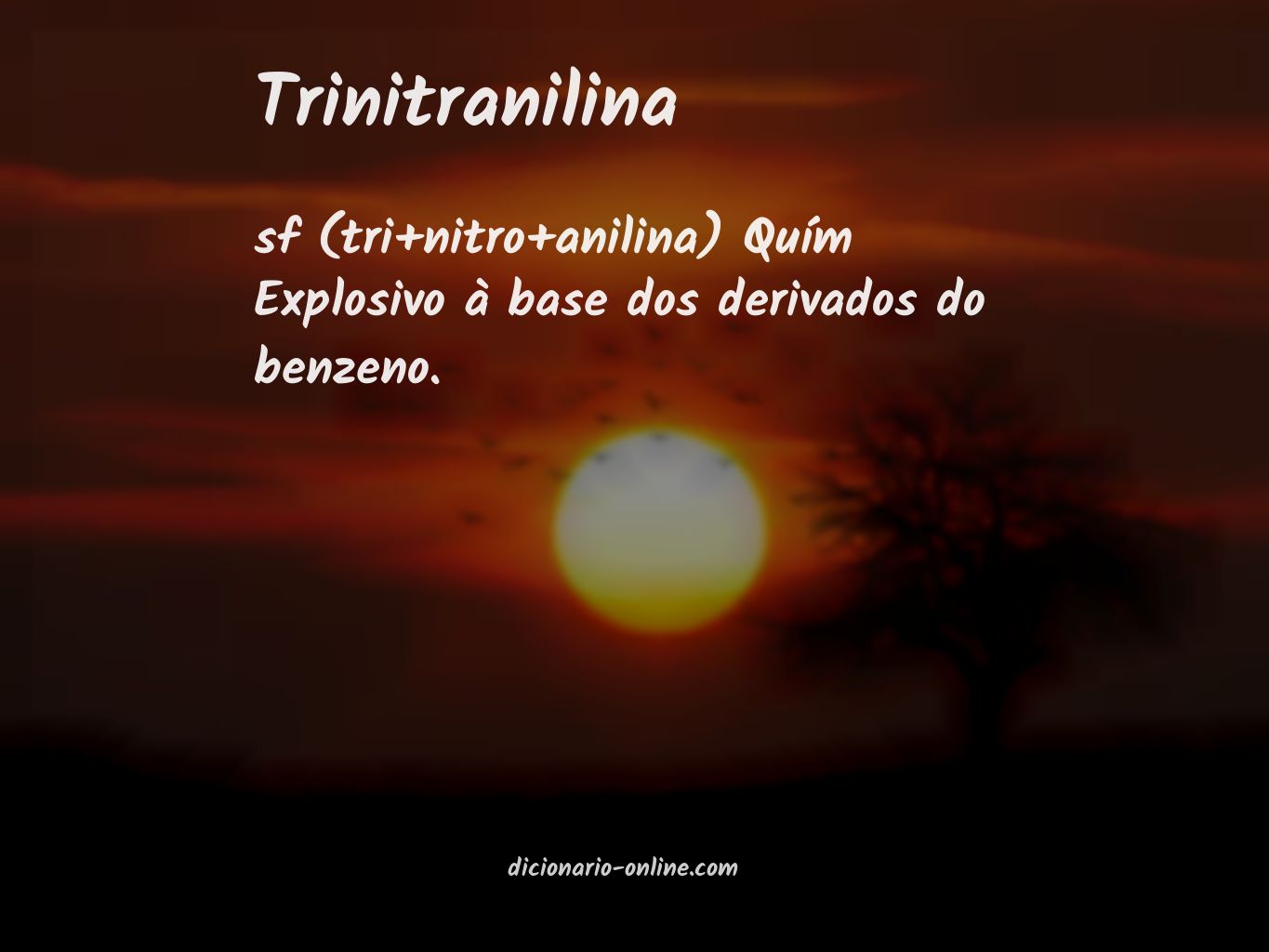 Significado de trinitranilina