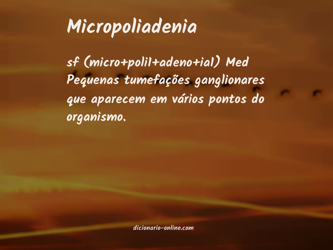 Significado de micropoliadenia