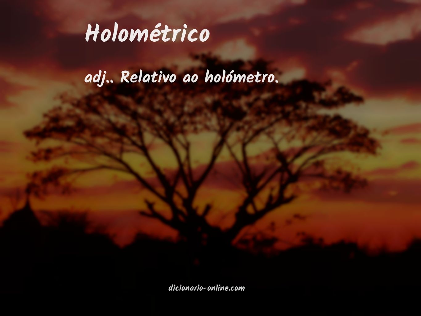 Significado de holométrico