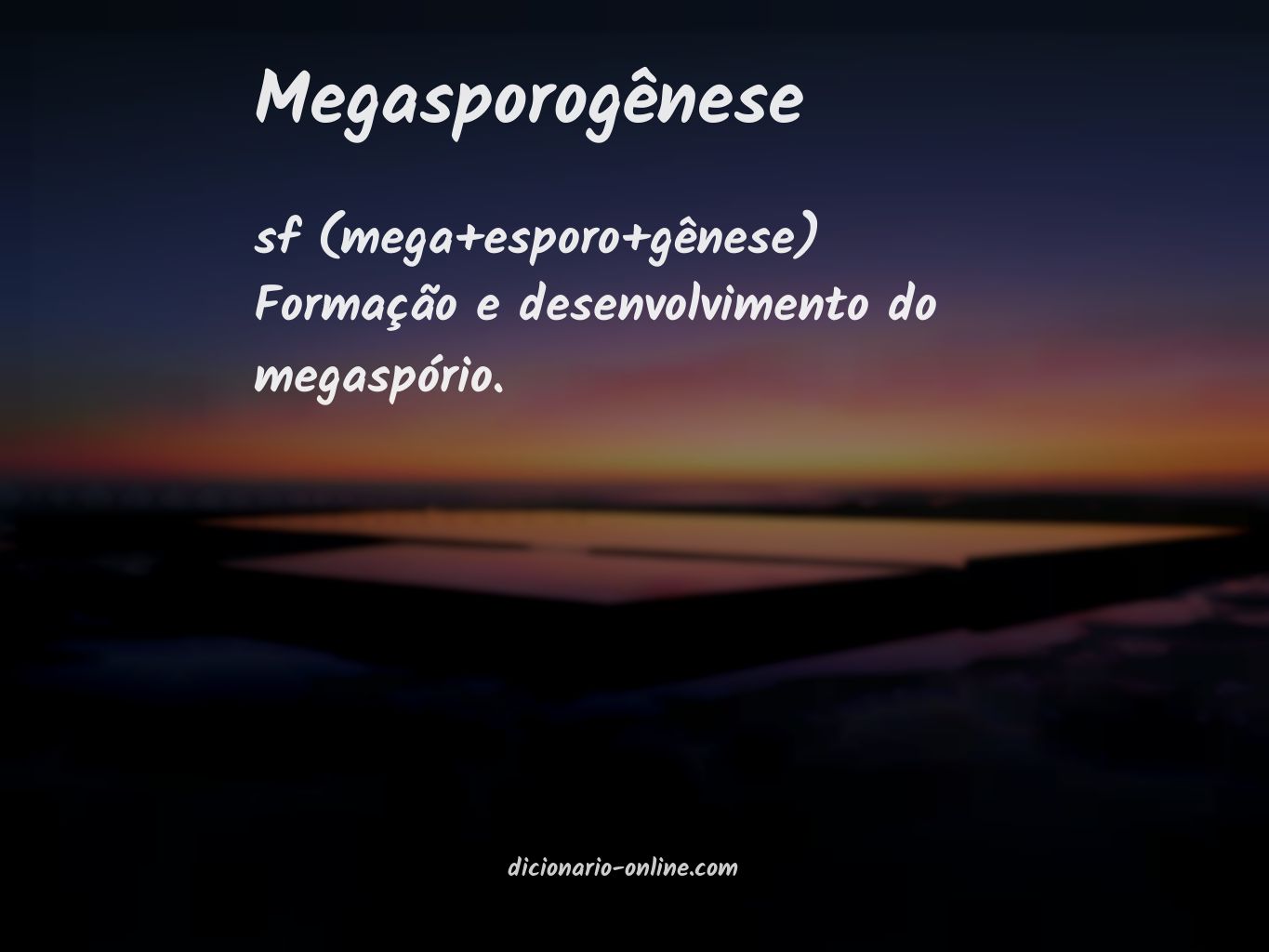 Significado de megasporogênese