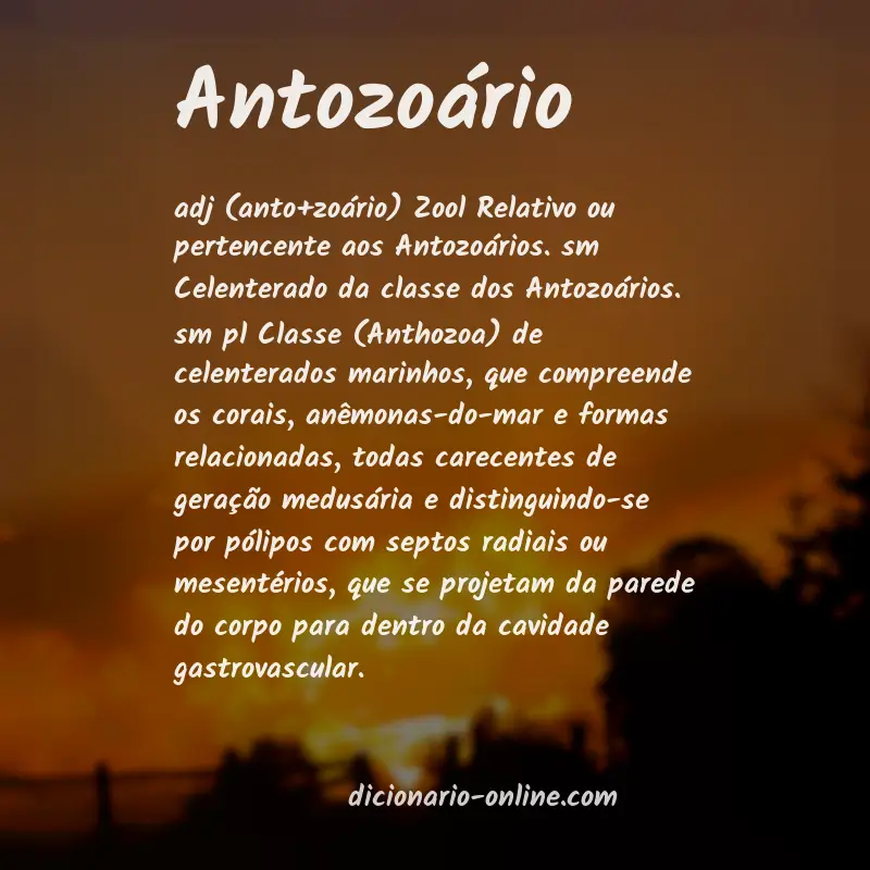Significado de antozoário