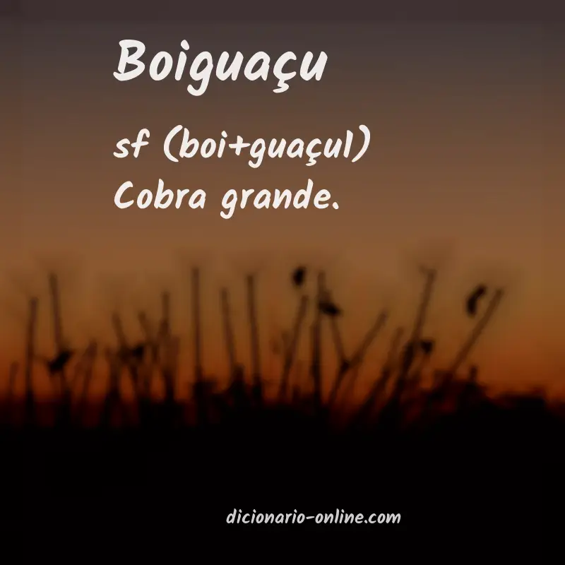 Significado de boiguaçu