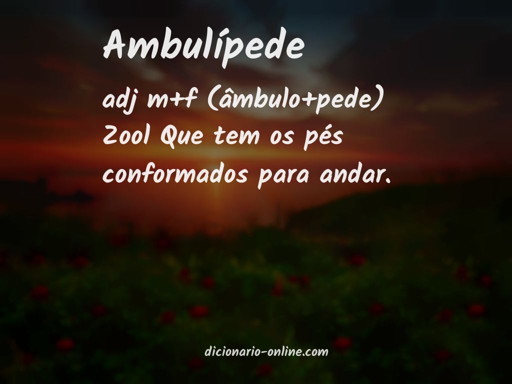 Significado de ambulípede