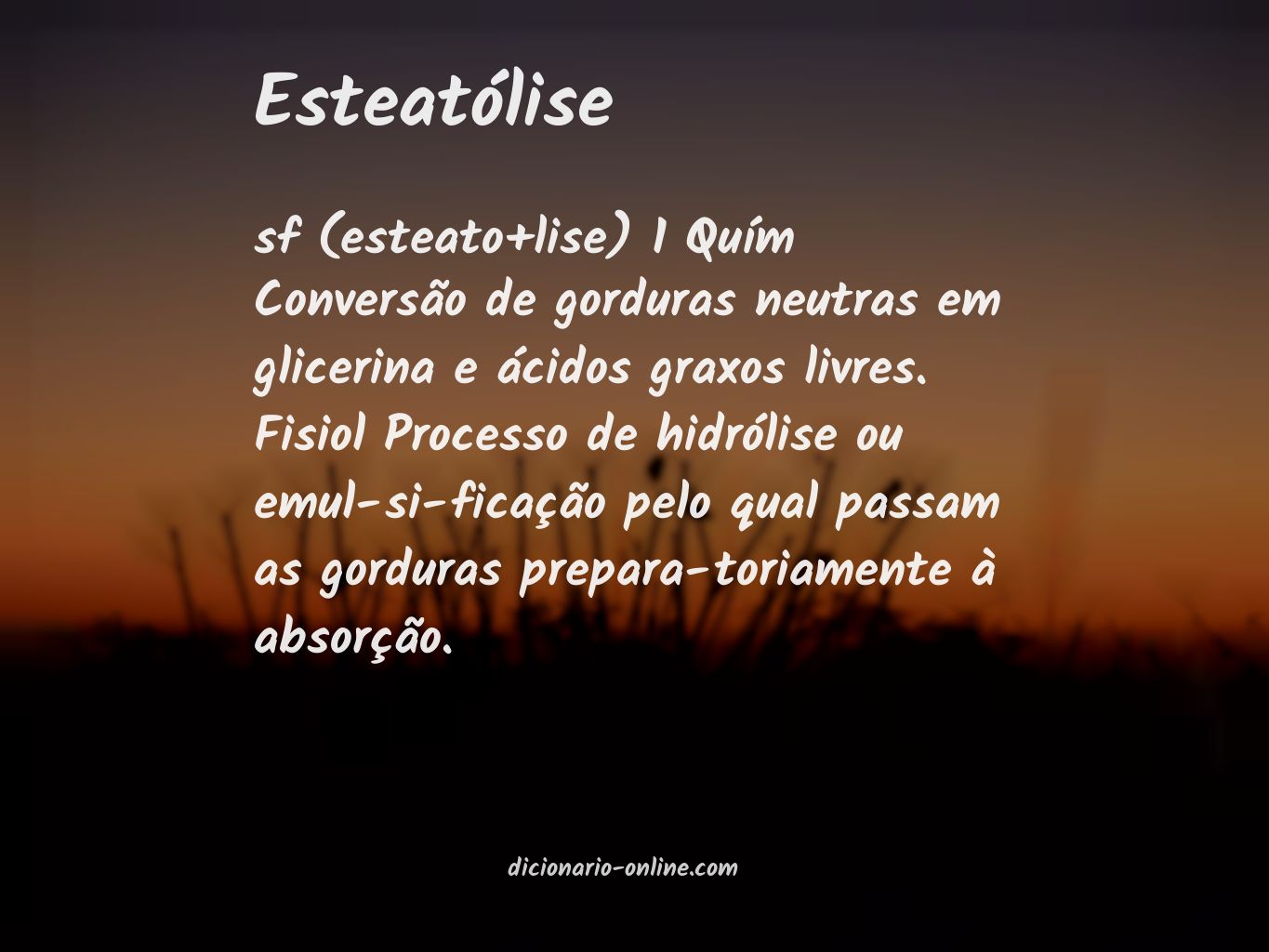 Significado de esteatólise