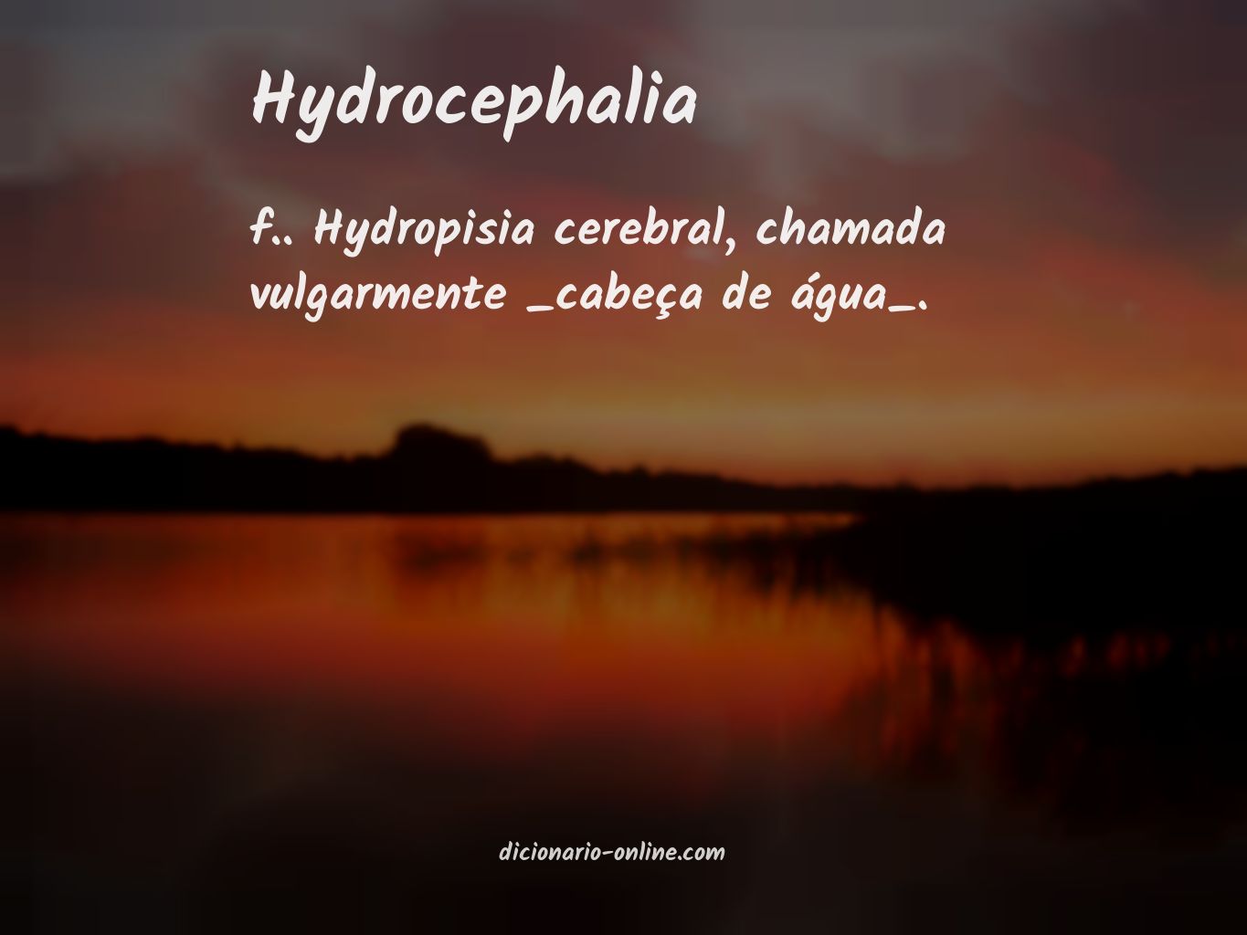 Significado de hydrocephalia