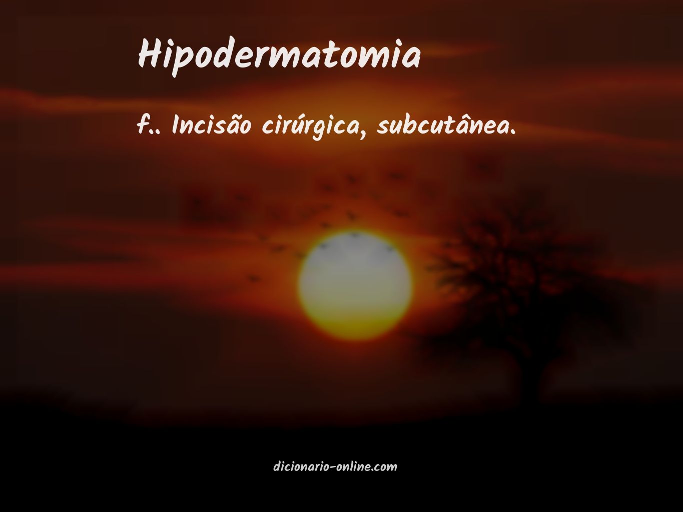 Significado de hipodermatomia