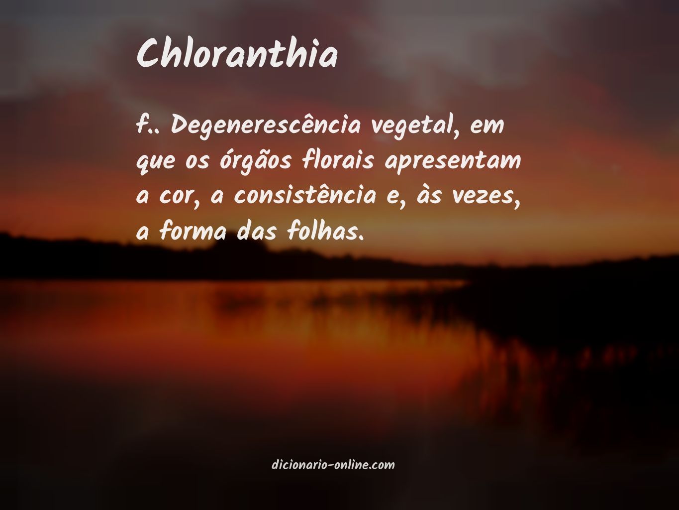 Significado de chloranthia
